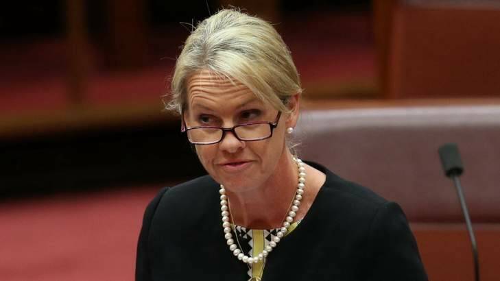 Under fire: Fiona Nash during question time. Photo: Andrew Meares