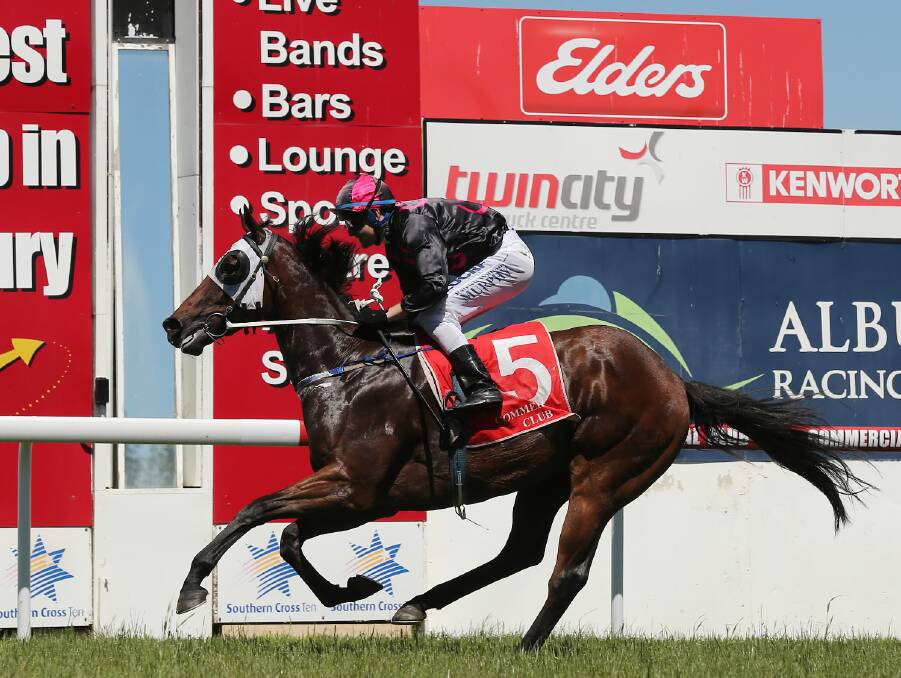 Promising galloper The Monstar is likely to return to the city for his next start after a luckless debut at Moonee Valley on Friday night.