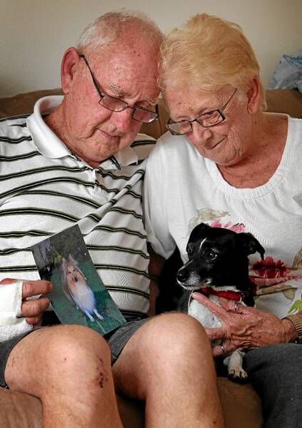 John and Phyllis Bower with their therapy pets program dog Lucy and a photograph of Paddywak, who was attacked and died. Picture: KYLIE GOLDSMITH