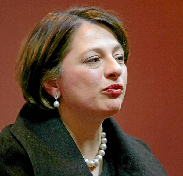 Sophie Mirabella has been in the thick of the attacks on the federal Treasurer.