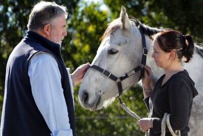 Veterinarian Dr Bob Fielding with Jodie Harmer and her injured horse, Floyd. Picture: KYLIE GOLDSMITH
