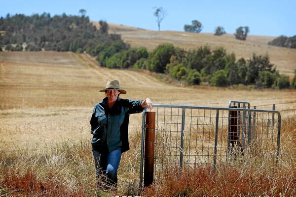 Kylie Durant says Holbrook property Dalriada is a great example of revegetation. Picture: MATTHEW SMITHWICK