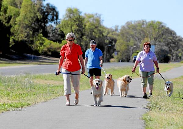 Thurgoona Progress Association member Jean Townson with Bernard Townson and Gail Boyd, who are all keen to see a dedicated off-leash area set up for dogs in Thurgoona. Picture: DAVID THORPE