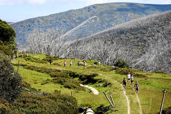 The spectacular country around Falls Creek would be a high-altitude training mecca for elite athletes under a strategy plan tabled in the Victorian Parliament.