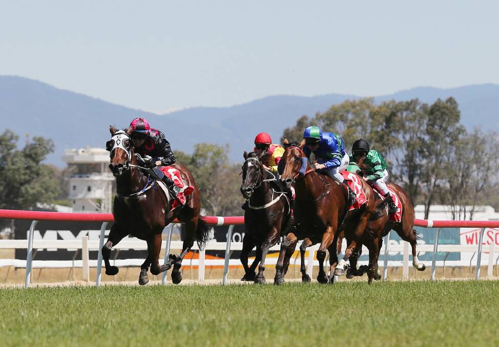 The Monstar, ridden by Patrick Murphy, breaks away from the pack half way up the straight before going on to win at Albury on Saturday.