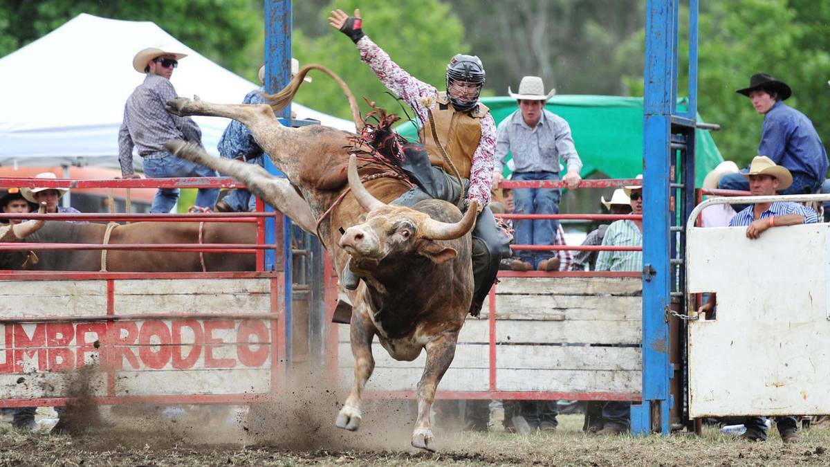 Chris Young tries to maintain his balance in the second division bull-riding contest at the Tumbarumba Rodeo. Picture: Alastair Brook