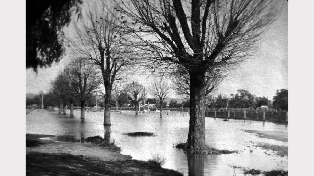 Floods in Wodonga Place, near Noreuil park, in the Fifties.