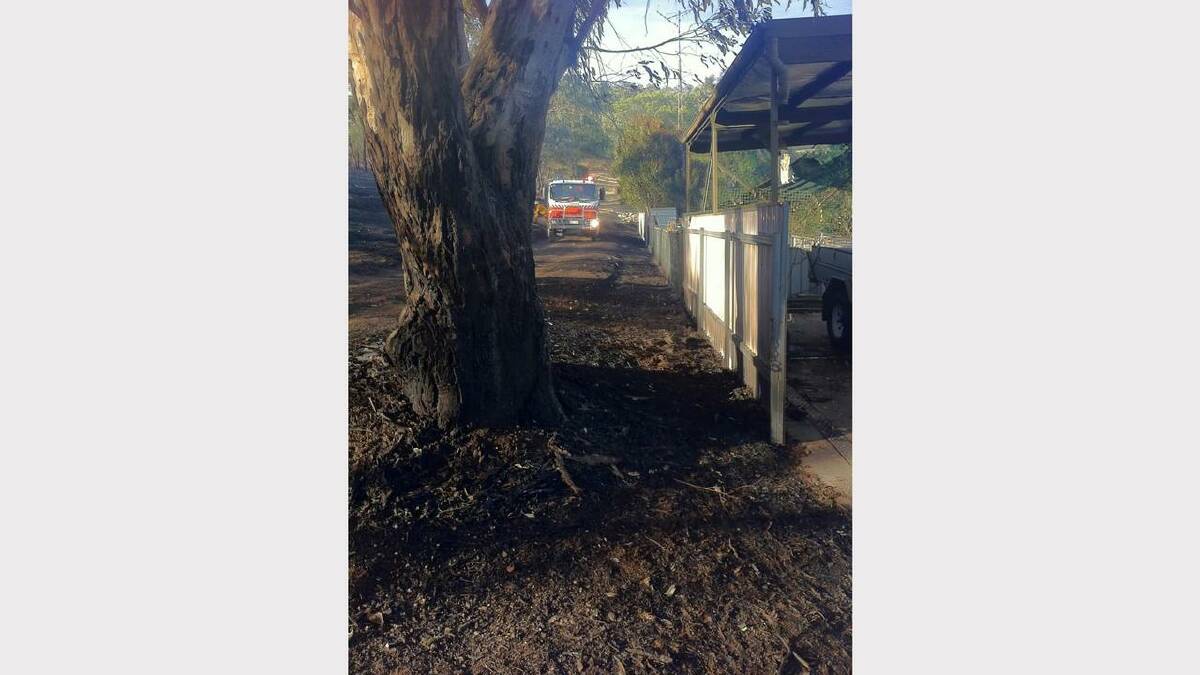 Border Mail reporter Aisha Dow on the scene: "You can see how close the #alburyfire got to the back fences of properties at Yambla Ave."