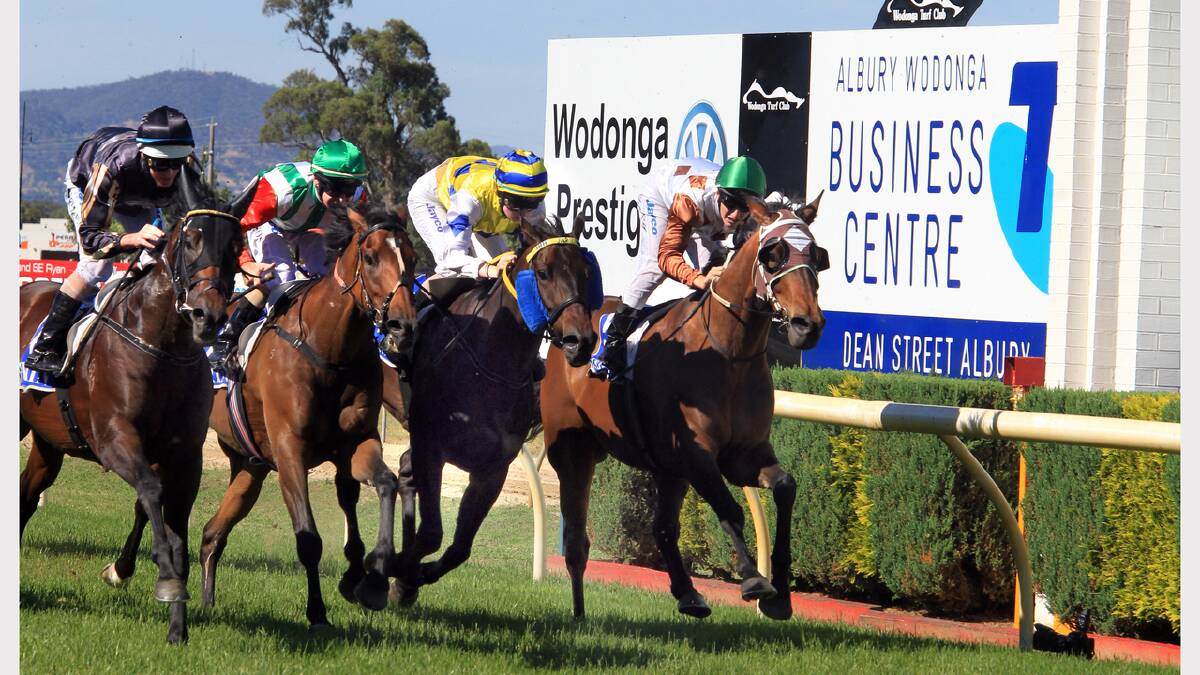 Zabisco, ridden by Luke Nolen (brown and black silks), powers down the centre of the track to win the Wodonga Gold Cup. PICTURES: Peter Merkesteyn.