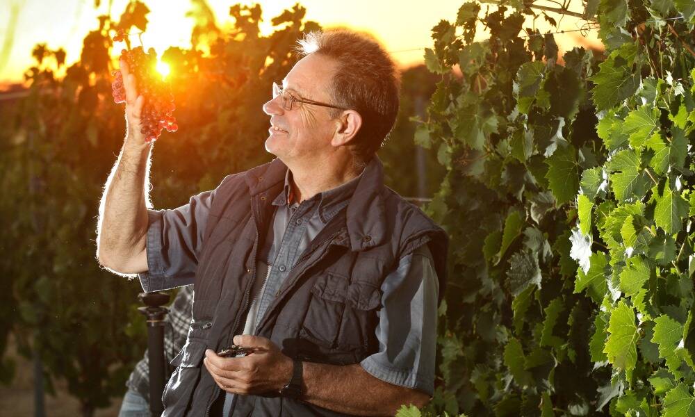 Howard Anderson admires the fruits of his labour. Click for more beautiful BEN EYLES harvest photos.