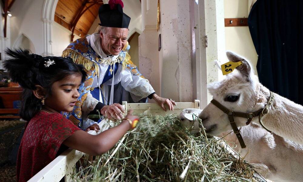  Fr. Peter MacLeod-Miller and Carissa Ignatius, 3, from Albury, feeding the animals before Christmas mass.