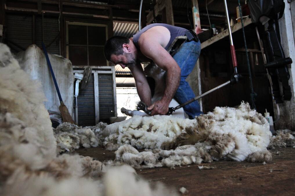 Tony Jones in the shearing shed, just one of the many facets of his life; Picture: BEN EYLES