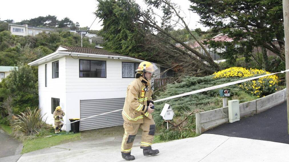 Trees down in a street in Wellington. Picture: KEVIN STENT