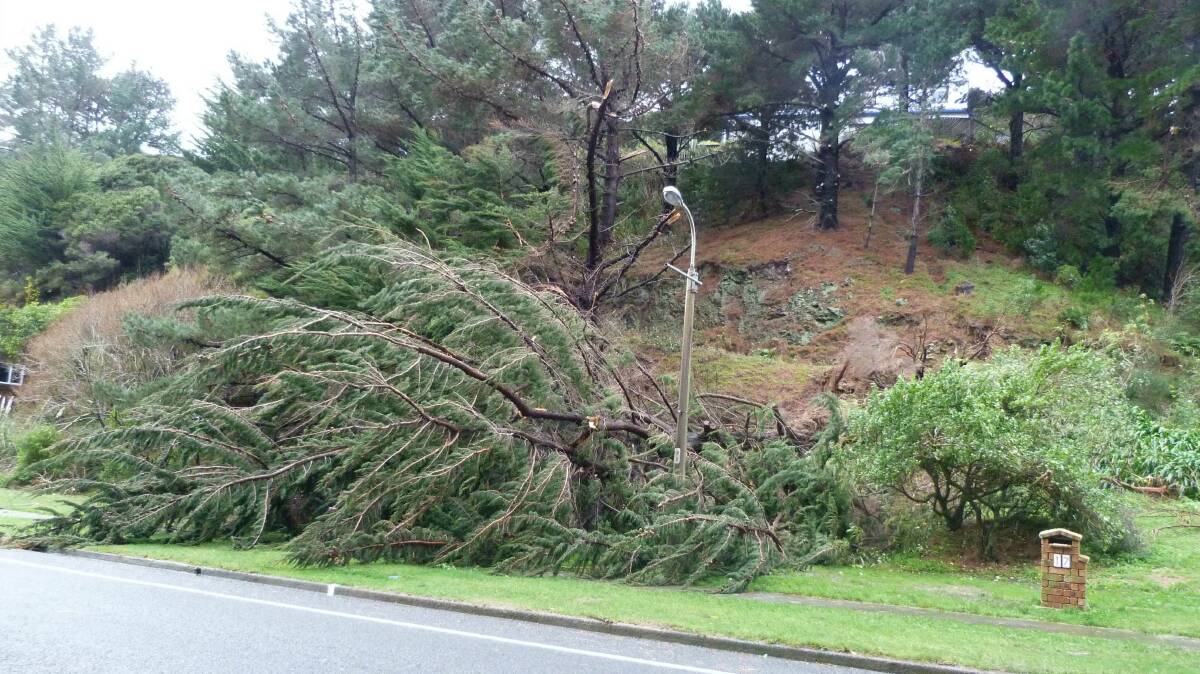 Storm damage in Wellington. Picture: GEOFF MOWDAY