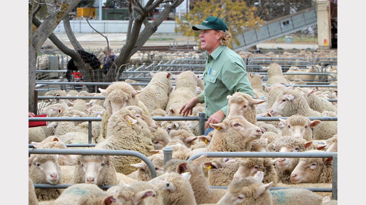 26. Farmers have started a revolt against increased fees at Corowa Sale Yards. Picture: MARK JESSER