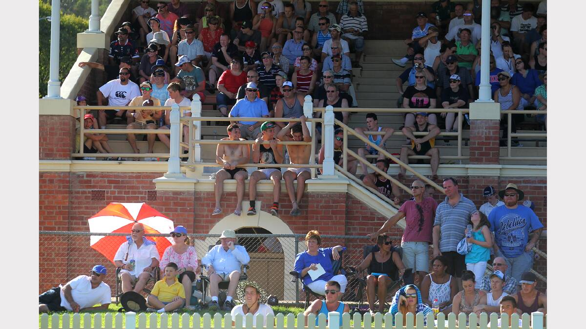 The crowd at Albury's Super Rugby match. 