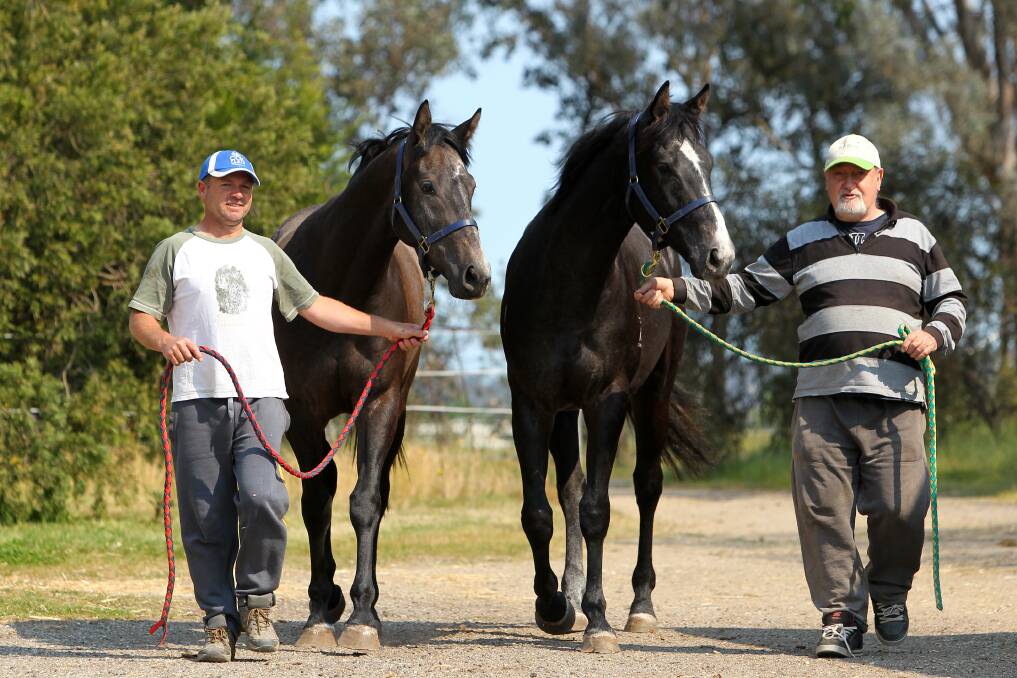 Foreman Norm Loy and stablehand-strapper Brian Stein with racehorses Caulfield and Rocky, which Martin Stein Stables is hoping to syndicate. Picture: MATTHEW SMITHWICK