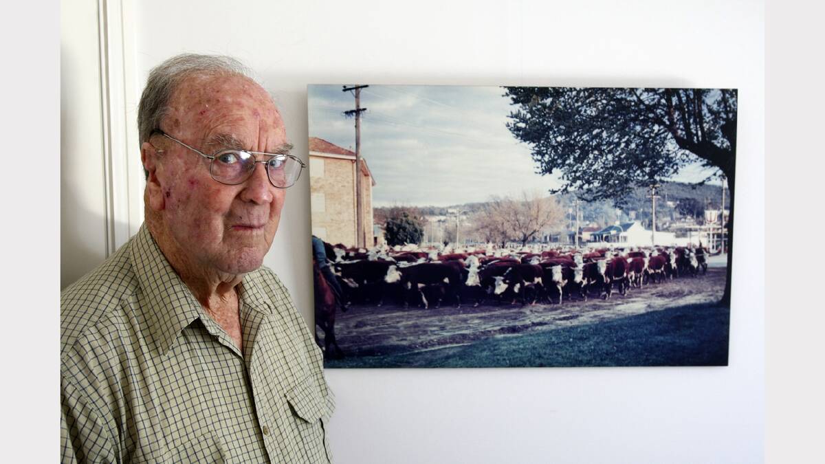 Bill Richardson and a 1962 picture showinng a herd of cattle on their way to market. Picture taken at the intersection of Pemberton St and Thurgoona St, Albury.