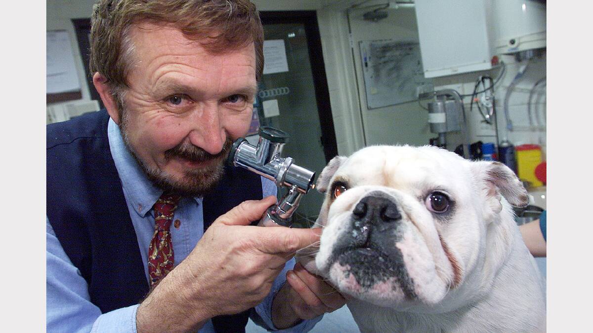 Dr Arthur Frauenfelder's veterinary career over the years. 