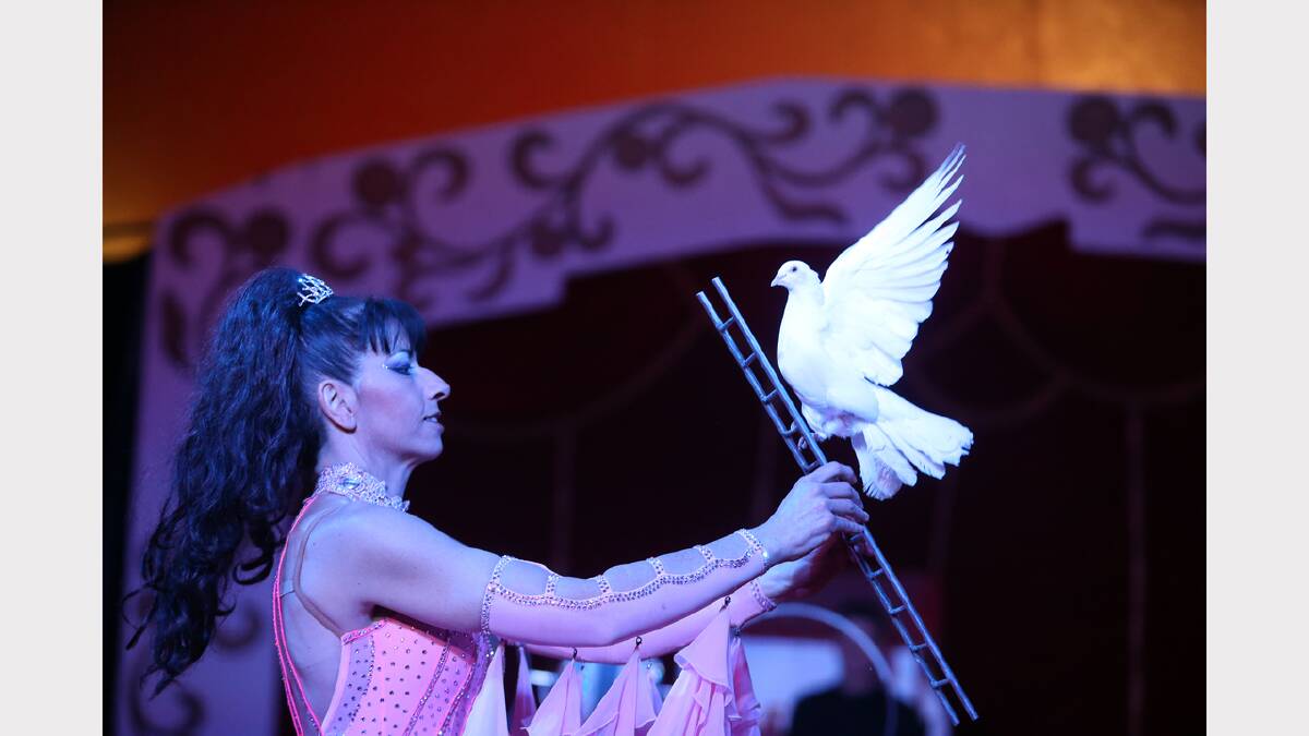 Merkesteyn loved the pure white of the dove while Maureen Martin was bathed in light. “It was extremely dark during their performance so I was just hoping you could get the shot when there was a pause in their movements,” he says. 