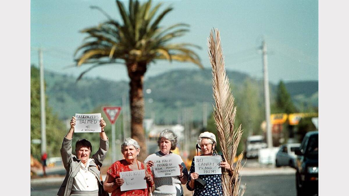 1999 -  Jean Whitta, Betty McLean, Robin Gemmill and Roma Richards protesting palm tree planting on Elgin Boulevard.