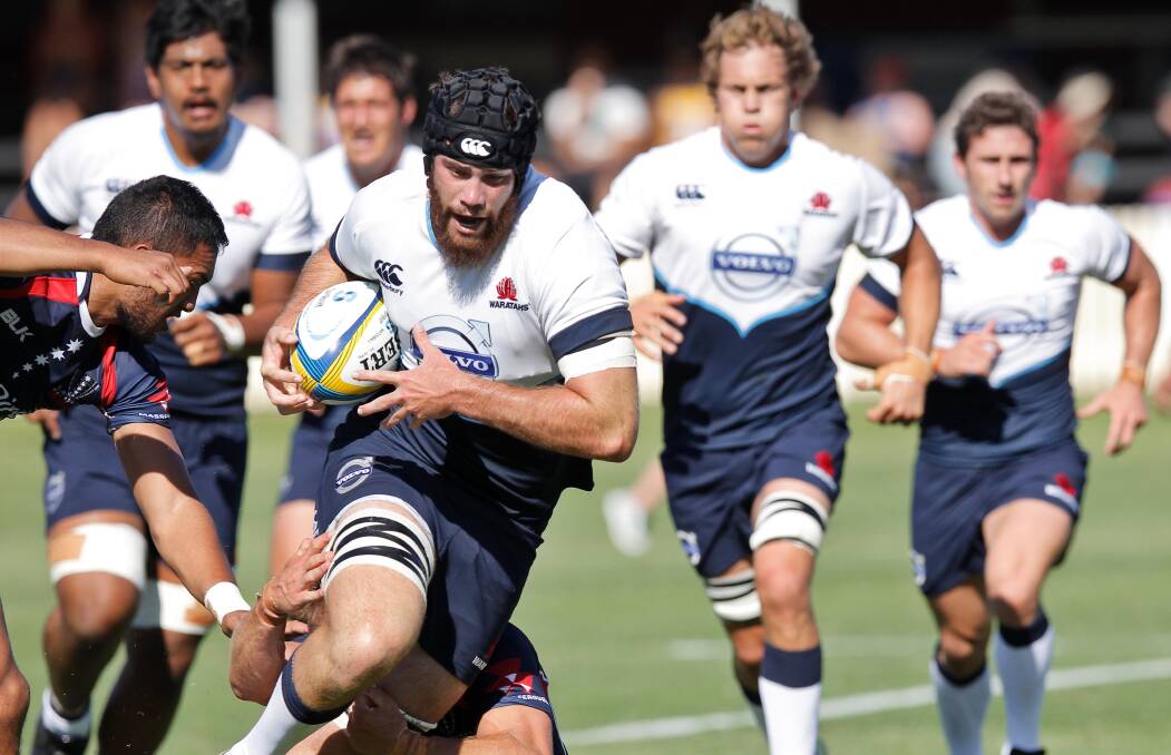 The Waratahs' Greg Peterson at the Super rugby trial. 