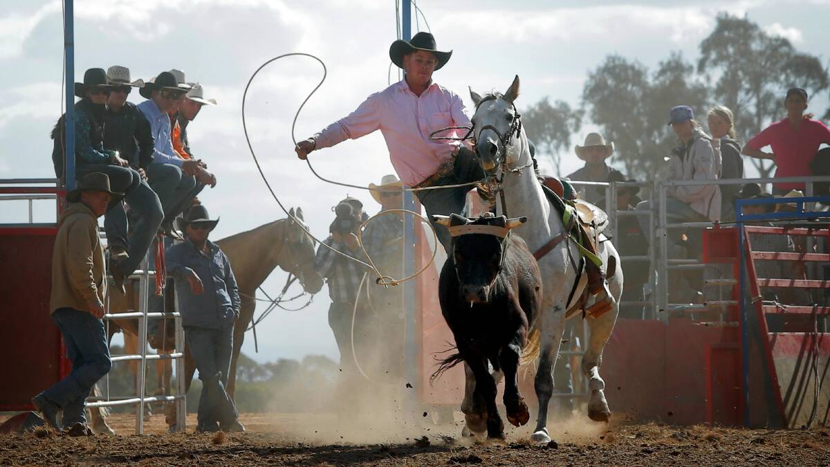  Ryan Watson, of Wangaratta, narrowly misses the steer with his lasso in the steer roping section 1. Pictures: TARA GOONAN