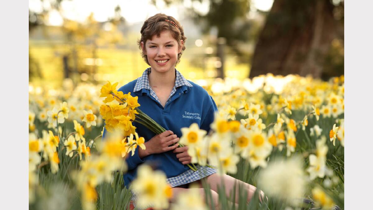 Imogen Wallace, 15, walks through a field of daffodils overlooking Hume Dam to promote Daffodil Day.