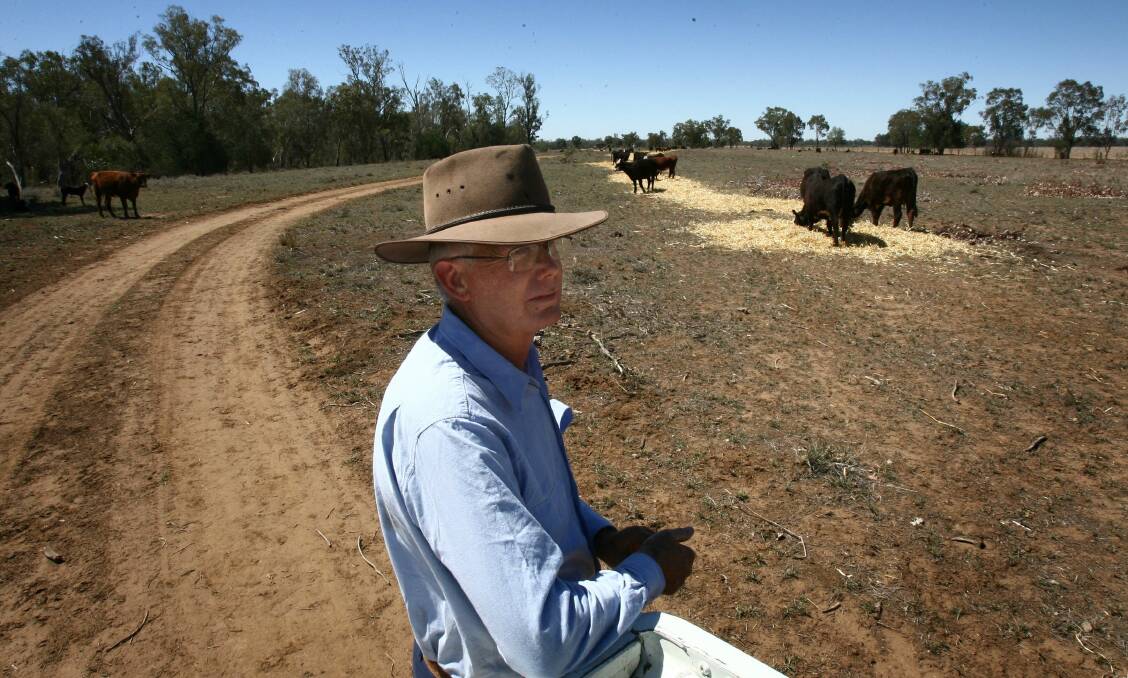 Brian Duddy irrigated paddocks of sorghum instead of cotton so he could feed the cattle on his property near Goondiwindi in 200