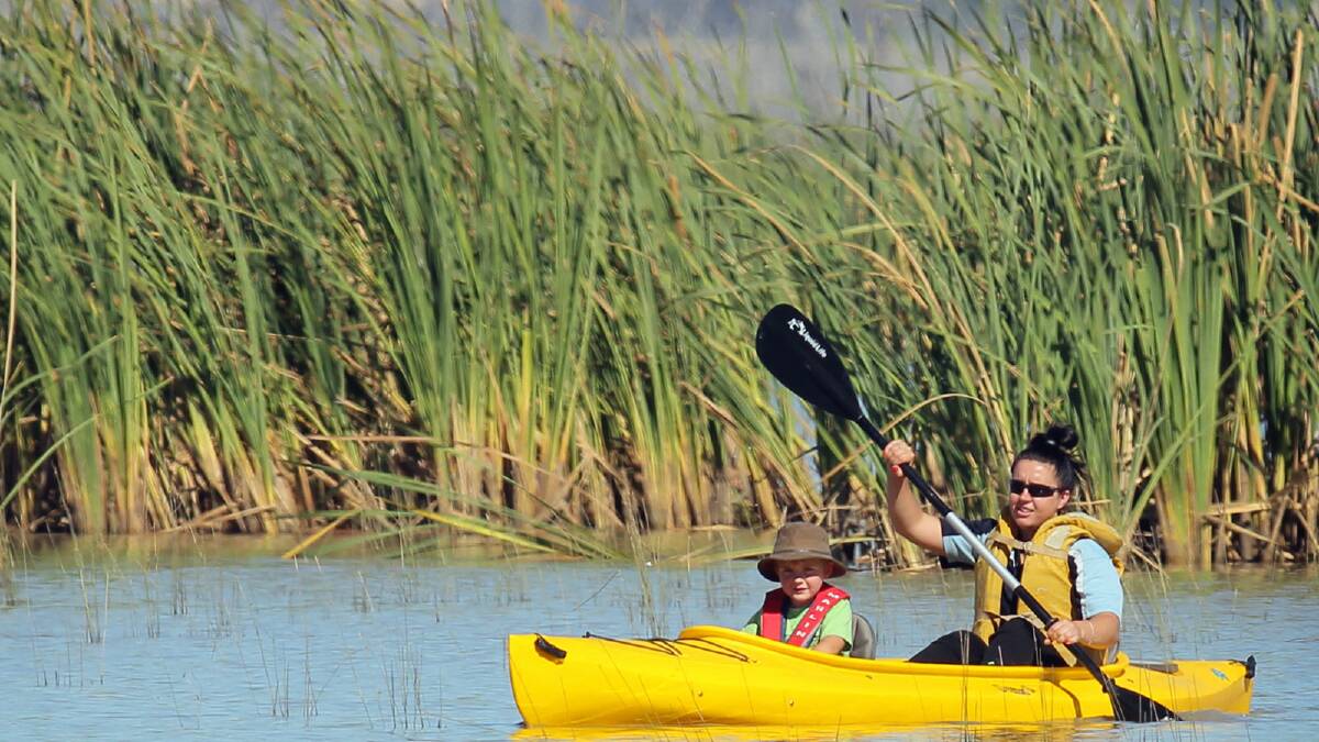 Alison Ballard and her nephew Hayden Hall, 5, take in the sights of the wetlands from the water. Picture: TARA GOONAN